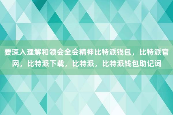 要深入理解和领会全会精神比特派钱包，比特派官网，比特派下载，比特派，比特派钱包助记词