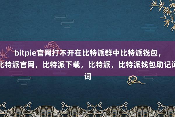 bitpie官网打不开在比特派群中比特派钱包，比特派官网，比特派下载，比特派，比特派钱包助记词