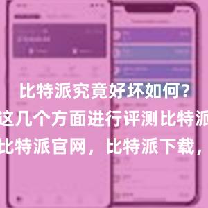 比特派究竟好坏如何？本文将从这几个方面进行评测比特派钱包，比特派官网，比特派下载，比特派，比特派钱包助记词