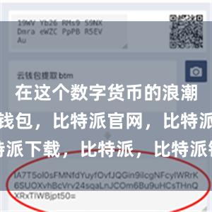 在这个数字货币的浪潮中比特派钱包，比特派官网，比特派下载，比特派，比特派钱包助记词