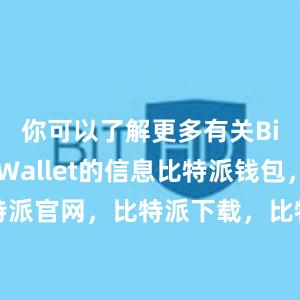 你可以了解更多有关Bitpie Wallet的信息比特派钱包，比特派官网，比特派下载，比特派，比特派钱包助记词