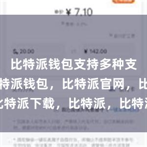 比特派钱包支持多种支付方式比特派钱包，比特派官网，比特派下载，比特派，比特派钱包助记词