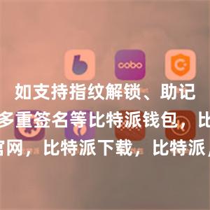 如支持指纹解锁、助记词备份、多重签名等比特派钱包，比特派官网，比特派下载，比特派，比特派钱包助记词